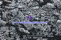 ammonium paratungstate SEM