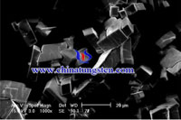 ammonium paratungstate SEM micrograph